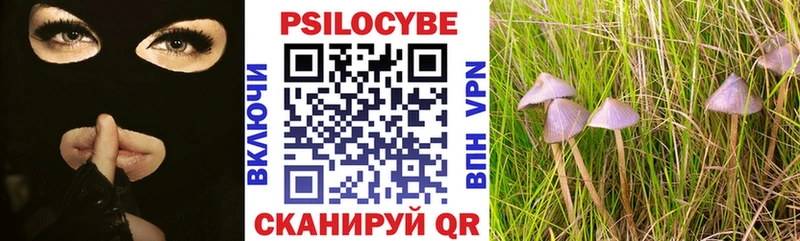 Псилоцибиновые грибы прущие грибы  Купить  Партизанск 